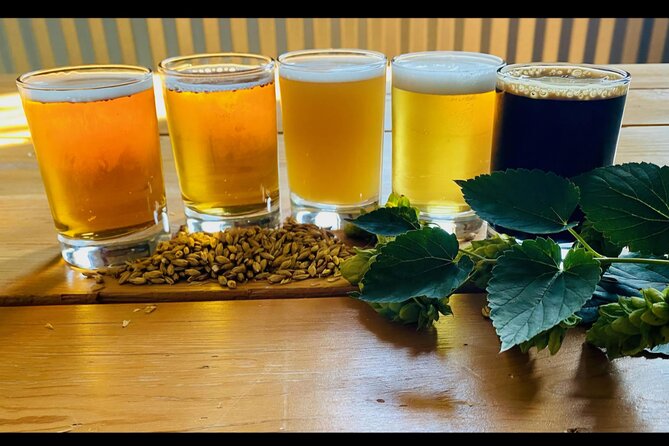 NON BUS MOVIE STARS Traverse City Brewery And Distillery Tour - Silver Spruce Brewing Company: polished lagers and classic beer styles