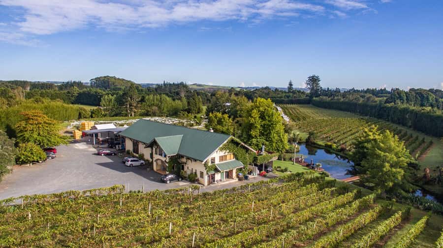 Paihia or Kerikeri: Wine, Spirit, & Craft Beer Tour - Phat House Brewery in Haruru Falls