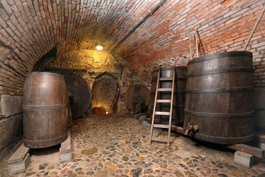 Pilsen: Brewery Museum Entrance with a Glass of Beer - Medieval cellars beneath the brewing house
