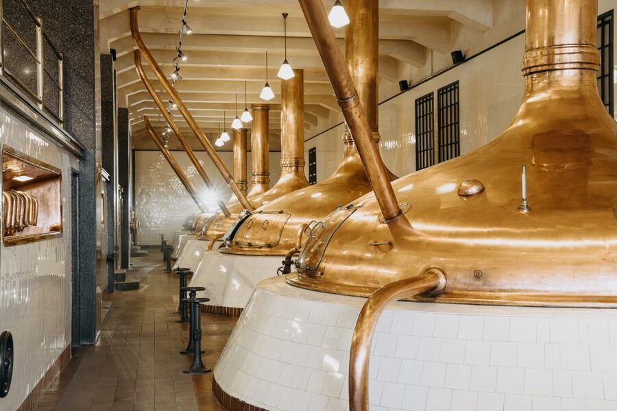 Pilsen: Pilsner Urquell Brewery Tour with Beer Tasting - Is $21 a fair price?
