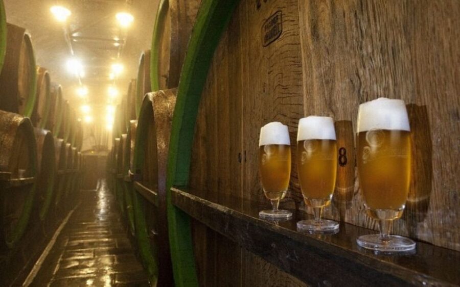 Pilsner Brewery & Nizbor Glass Factory Combination Tour - Booking tips for a smoother day