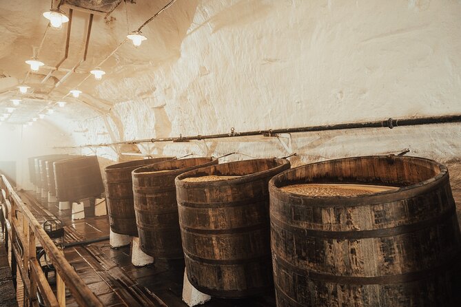 Pilsner Urquell Brewery Tour with Beer Tasting - The historic cellars and the final beer