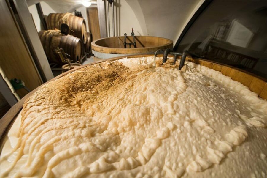 Prague: Beer Tasting and Brewery Tour - Brewing at Pivovarská restaurace Sladovna