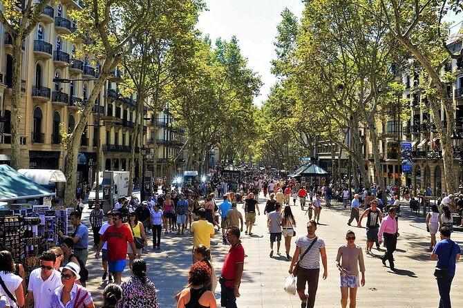 Private Beer Tasting with Best of Barcelona - Ciutat Vella and Plaça Reial after dark