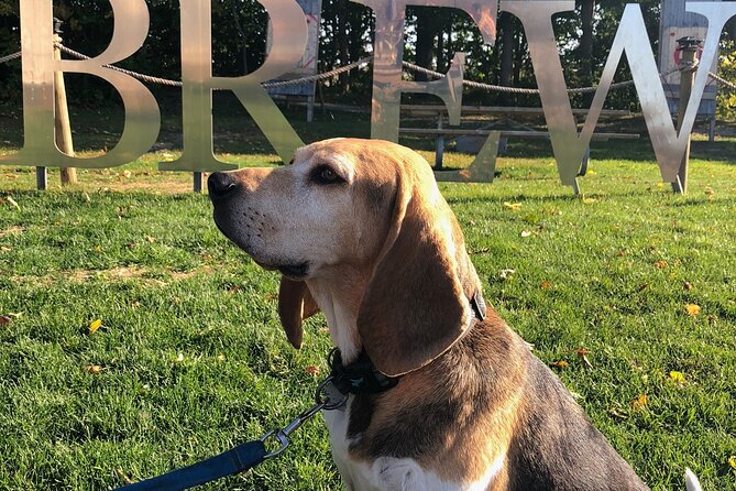 Private:Brewery, Winery, and Cider & Spirit Tastings Tour in SW Ontario - Bad Apple Brewing Company, a brewery rather than a cidery