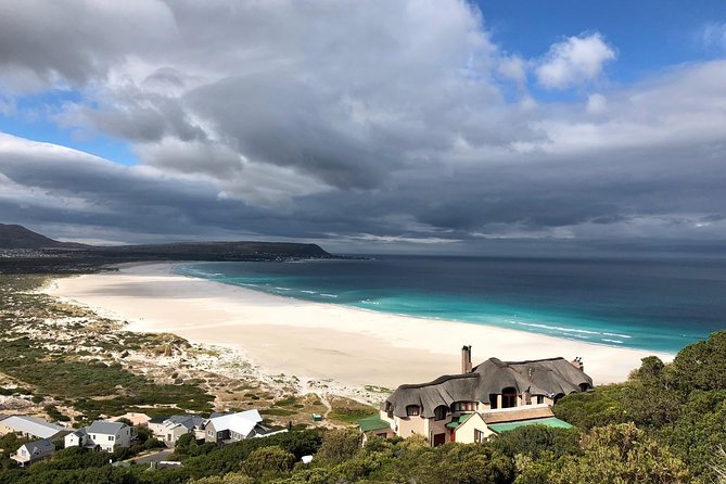 Private Day Tour to Cape Point , Penguins, Wine or Beer Tasting - From Cape Town stadium to Camps Bay views