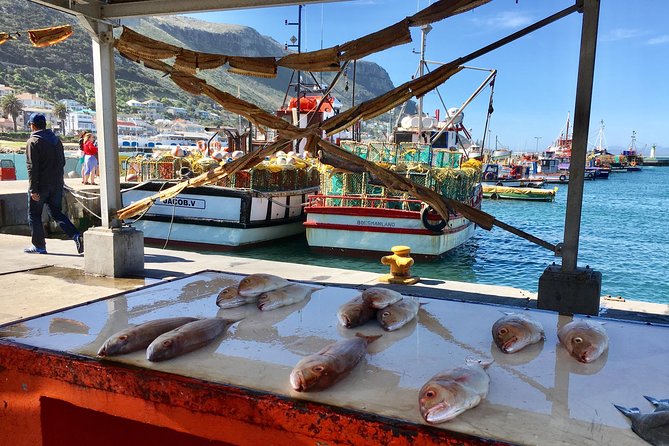 Private Day Tour to Cape Point , Penguins, Wine or Beer Tasting - Long Beach and an unexpectedly playful ostrich stop