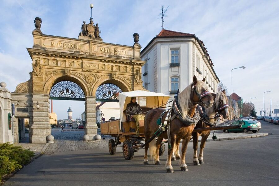 Private Pilsen & Pilsner Urquell Brewery Tour Prague - What the private price includes