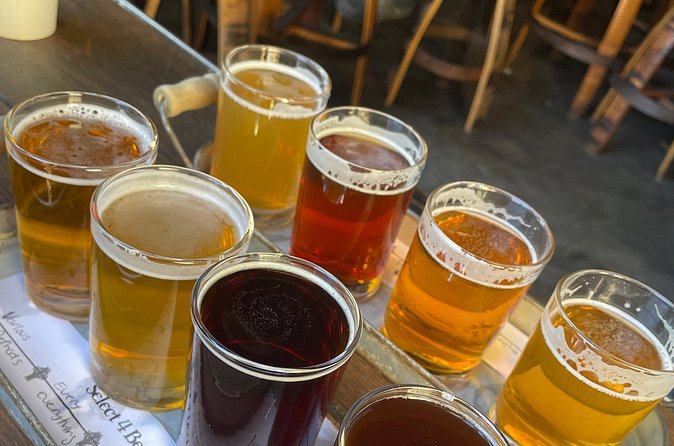 Private San Diego Beer Tasting Tour - Timing limits and booking details worth noticing