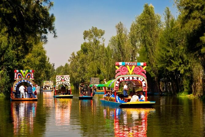 Private Tequila Craft Beer Tasting - Mexico City Floating Gardens - Key reasons to consider this Xochimilco tasting