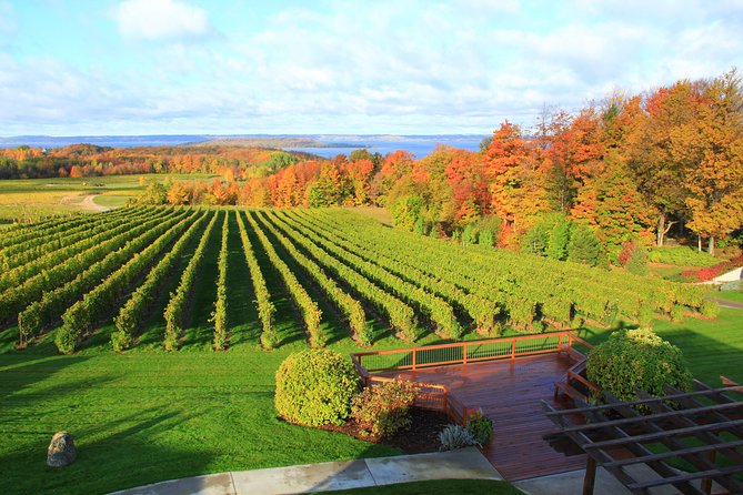 Private Traverse City Winery or Brewery Tour - How to Build a Better Four-Stop Plan