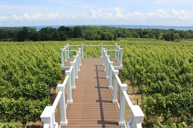 Private Traverse City Winery or Brewery Tour - Who Will Enjoy This Most