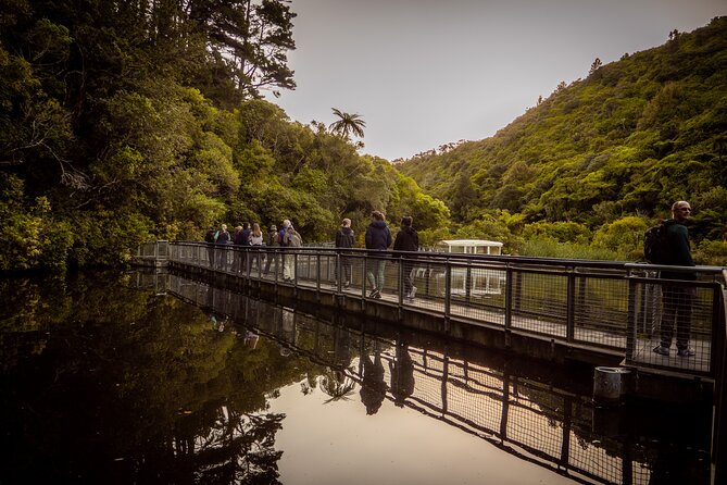 Private Wellington Craft Beer Full Day Tour - What the $223.41 price really covers
