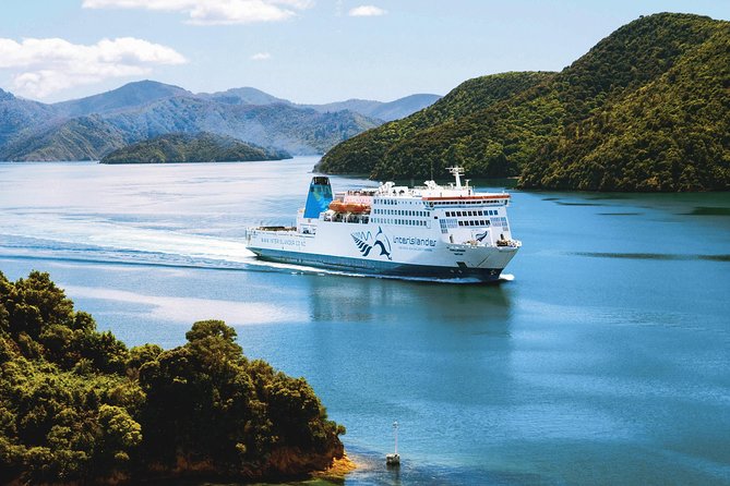 Private Wellington Craft Beer Half Day Tour - Four hours, and the pace you should expect