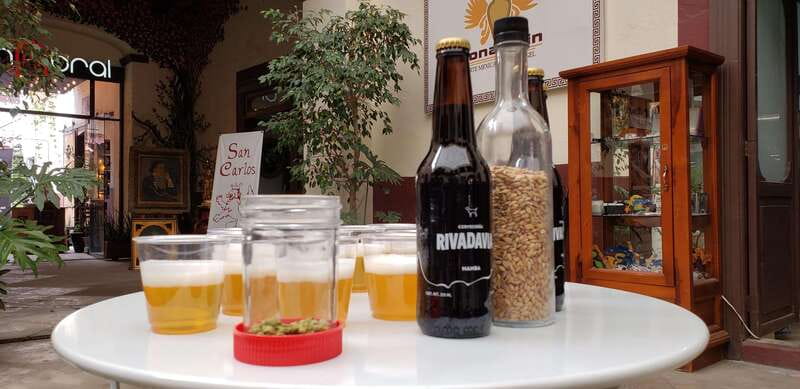 Puebla: Cholula Craft Beer Tour by Tram - Key points to know before you book