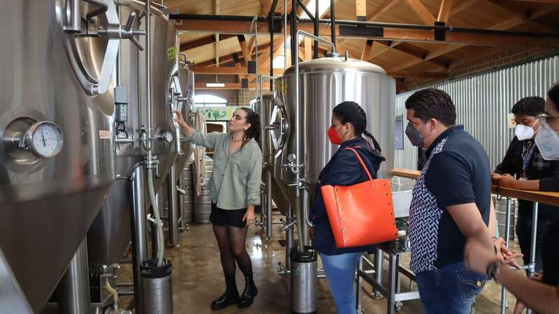 Puebla: Cholula Craft Beer Tour by Tram - Who should book this experience?