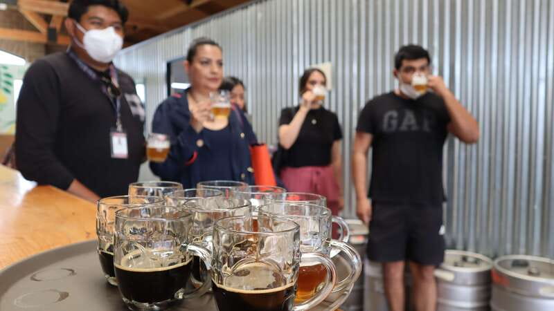 Puebla: Cholula Craft Beer Tour by Tram - Starting at the Tip Tours ticket counter