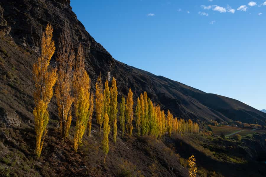 Queenstown: Craft Beer Brewery Tour with Lunch - The interactive brewery tour explains how the beer is made