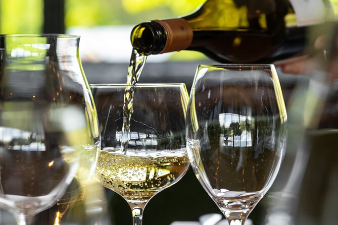 Queenstown Gin, Wine & Beer Tour | Adults Only - Amisfield Winery and Central Otago wine