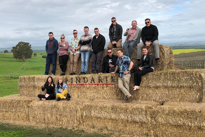 Red White & Brew - Wine, Gin & Beer Tour with Tastings from Adelaide - Key points before you book