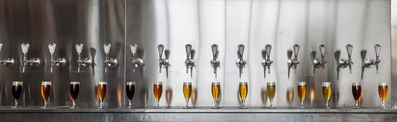 Rotterdam: Beer Brewery 'Noordt' Beer Tasting - Choosing Between Belgian Classics and IPA Flights