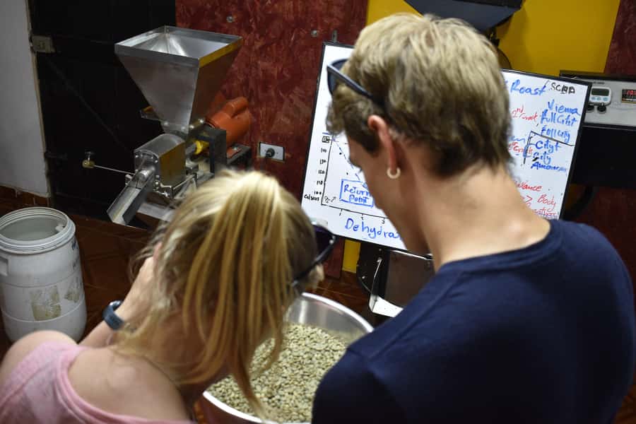 Salento: Coffee Master Roasting, Brewing and Tasting Tour - Key points to know before booking