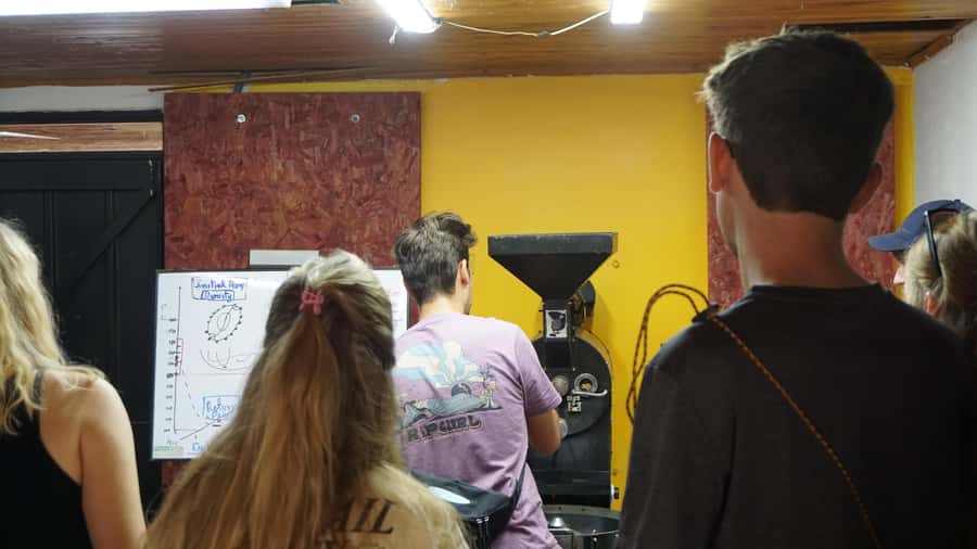 Salento: Coffee Master Roasting, Brewing and Tasting Tour - A coffee workshop rather than a quick plantation stop