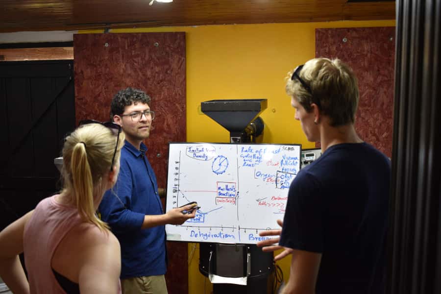 Salento: Coffee Master Roasting, Brewing and Tasting Tour - Preparing your senses for the tasting