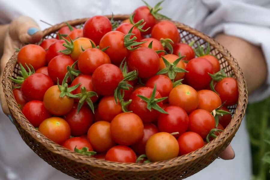 San Diego: 2-Hour Pasta Cooking Class at a Local Brewery - Who will enjoy this class most