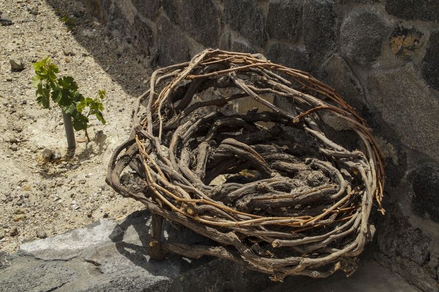 Santorini: Three Wineries and One Brewery Tour with Tastings - Stop two: Art Space in Exo Gonia