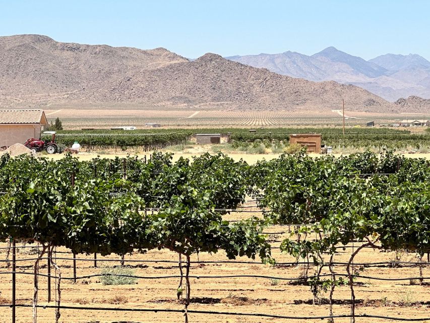 Scenic Desert Wine, Distillery Tastings/Brewery/RT66 & Lunch - Why this tour works from Las Vegas