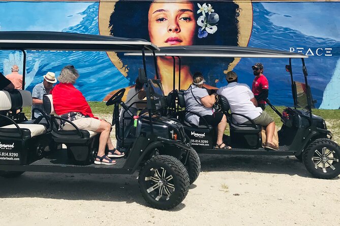 Small-Group Brewery Golf Cart Tour of Wynwood with a Local Guide - Why a golf cart is a smart way to see Wynwood