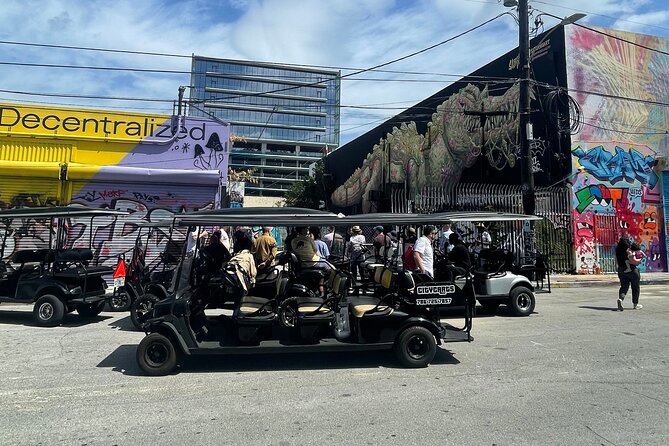 Small-Group Brewery Golf Cart Tour of Wynwood with a Local Guide - The Wynwood Art District: murals, side streets, and local context