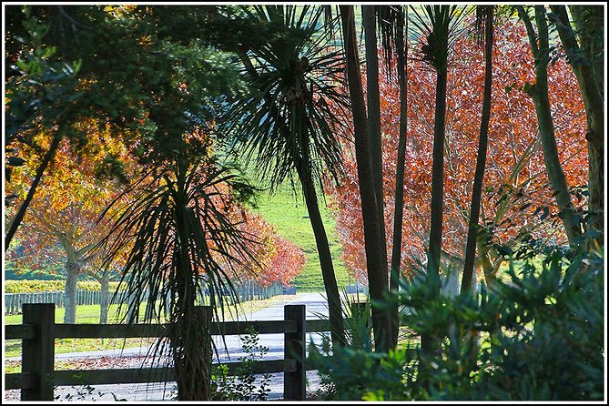 Small group - Napier Premium Wineries+ Beer tour -5.0 - 5.5 hours - Should you book the Napier wine and beer tour?