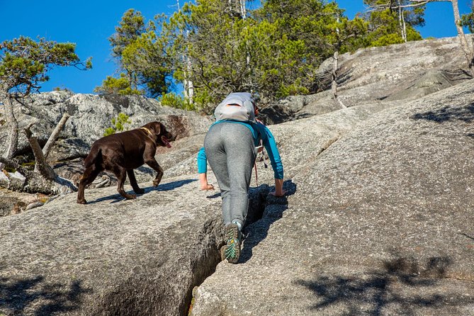 Stawamus Chief Hike & Local Brewery Tasting - Leaving Vancouver for the Stawamus Chief
