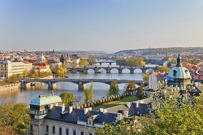 Sunny Beer garden tour - What makes this Prague beer tour different