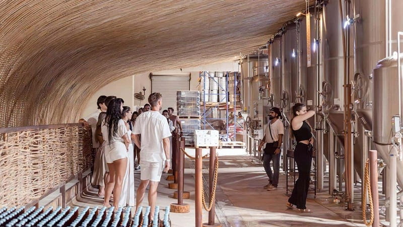 Tulum Brewery Tour & Beer Flight (Tasting Craft Beer) - Tasting Beer With a Sense of Place