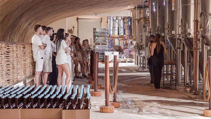 Tulum Brewery Tour & Beer Flight (Tasting Craft Beer) - English and Spanish Make Planning Easier