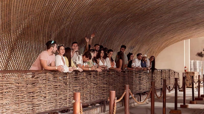 Tulum Brewery Tour & Beer Flight (Tasting Craft Beer) - What the Brewery Visit Includes