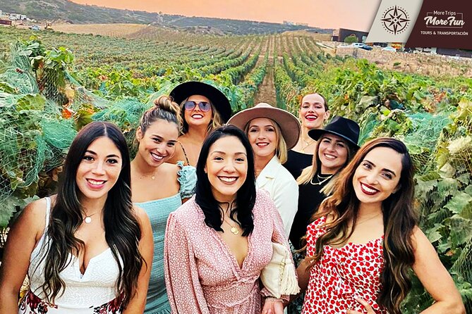 Valle de Guadalupe winery and brewery tours - Adding food, beer, or a Tijuana stop