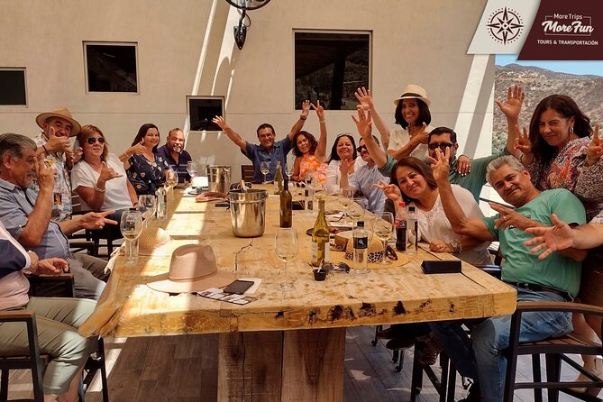Valle de Guadalupe winery and brewery tours - What you should plan before booking