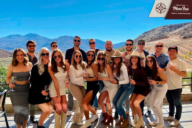 Valle de Guadalupe winery and brewery tours - Who should book this experience?