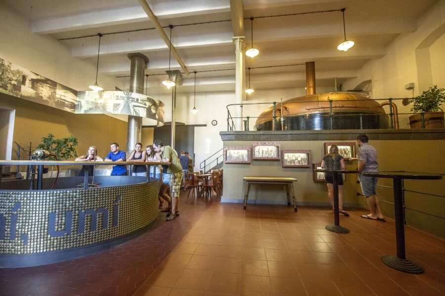 Velke Popovice: Kozel Brewery Tour with Beer Tasting - The cellar tasting is the tour’s best moment