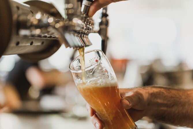 Wanaka Breweries E-Bike Tour - Lake Hawea, river surfing, and the route toward Wanaka