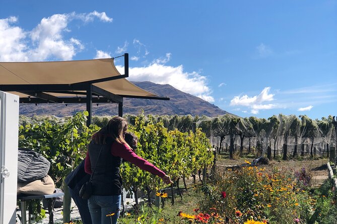 Wanaka Breweries E-Bike Tour - Is $152.04 good value?