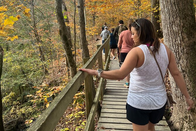 Waterfall Wonders Hiking Tour with Brewery Stop from Nashville - Who Will Enjoy This Tour Most?