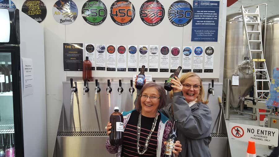 Wellington Craft Brewery Half-Day Guided Tour with Tastings - Should you book the Wellington brewery tour?