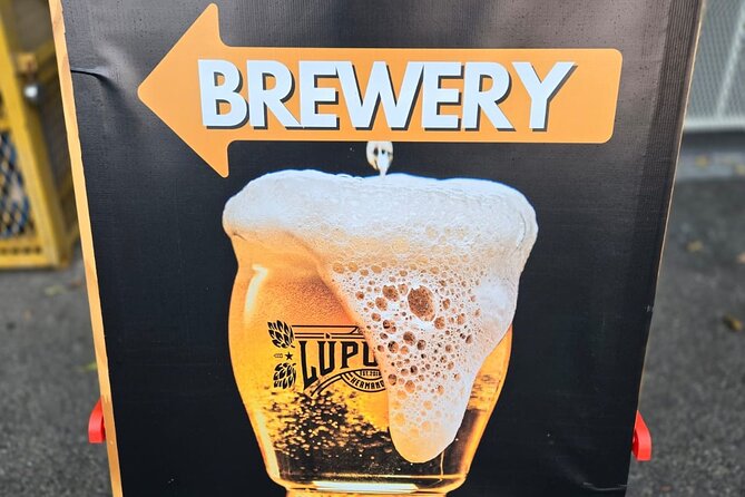 West Coast Beer Tasting Adventure in Puerto Rico - Who will enjoy this beer day most