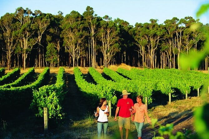 Wine, Craft Beer & Restaurant Lunch (Italian-A'la Carte). - Chocolate, nougat, or local produce for a non-alcoholic stop