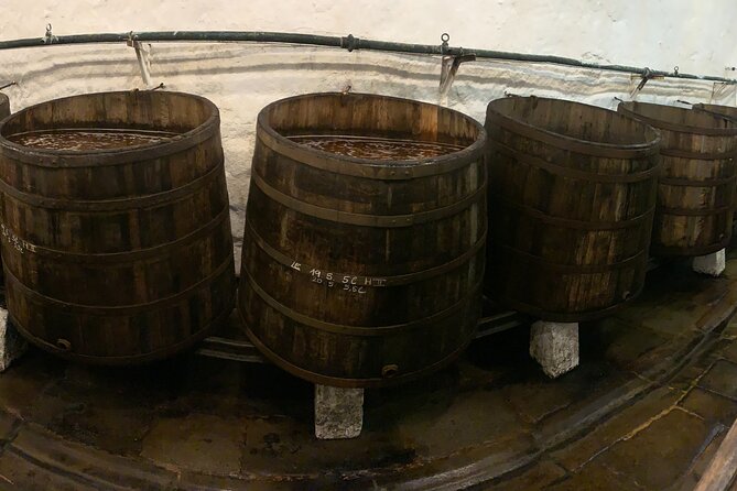WINE, FOOD & BEER TOUR from Prague to PILSEN - Historic cellars versus modern production